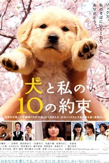 10 Promises To My Dog (2008) afişi