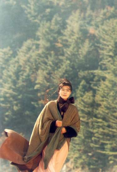 Gingko Bed Fotoğrafı