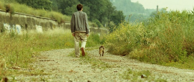 Petit indi Fotoğrafı