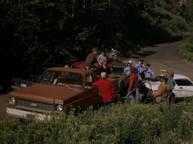 Don't Go in The Woods Fotoğrafı