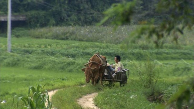 Yaşlı Ortak Fotoğrafı