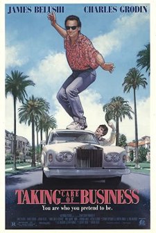 Akıl Defteri (1990) afişi