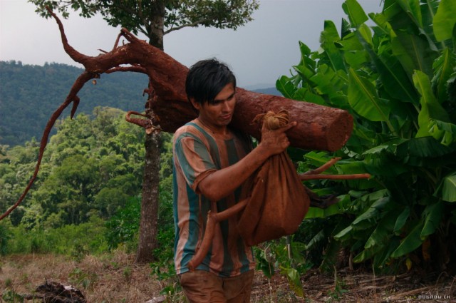 The Road To San Diego Fotoğrafı