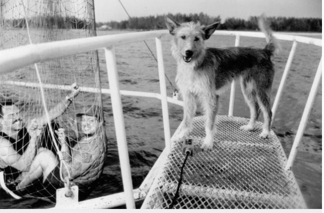 Zeus Ve Roxanne Fotoğrafı