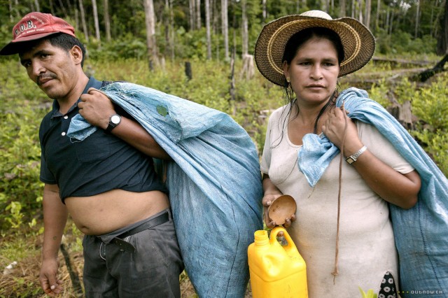Cocalero fotoğrafı