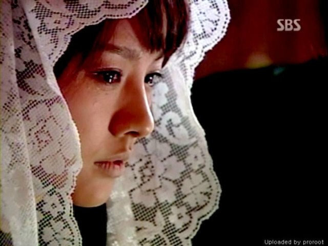 Three Leaf Clover Fotoğrafı