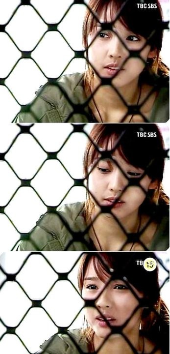 Three Leaf Clover Fotoğrafı