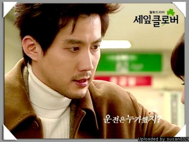 Three Leaf Clover Fotoğrafı