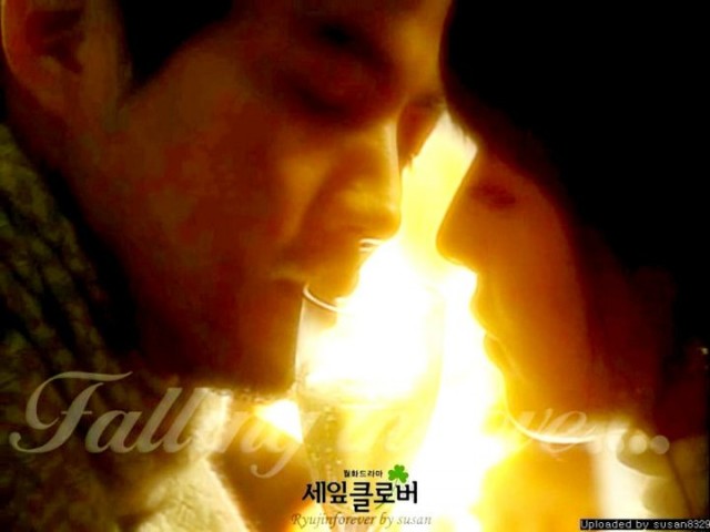 Three Leaf Clover Fotoğrafı