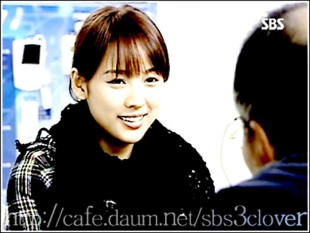 Three Leaf Clover Fotoğrafı