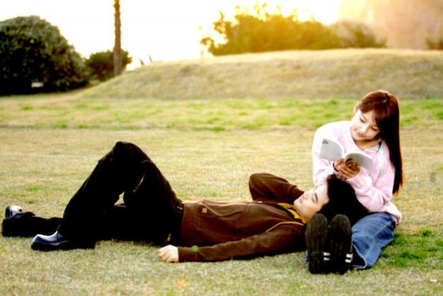 Three Leaf Clover Fotoğrafı