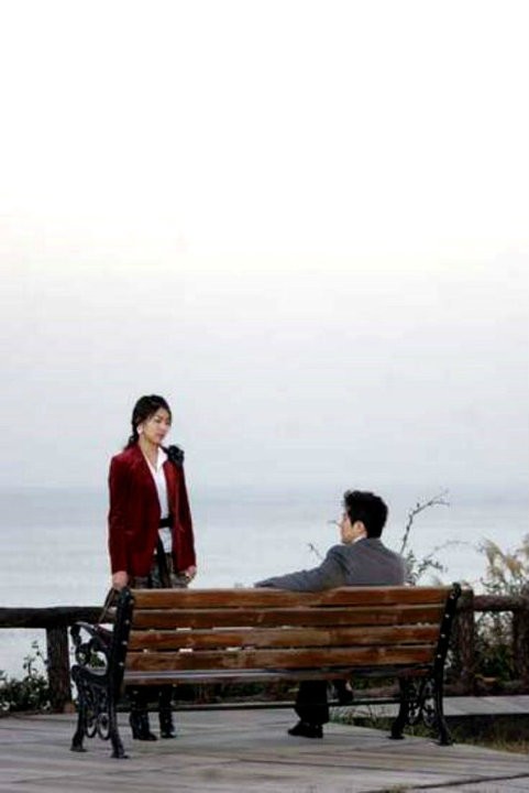 Three Leaf Clover Fotoğrafı