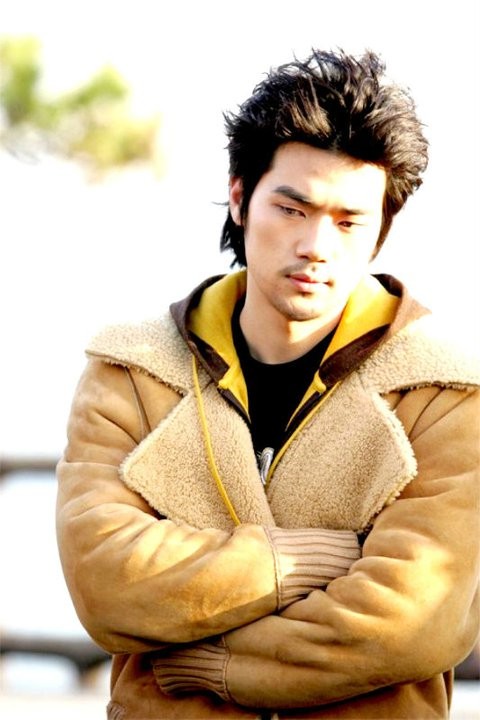 Three Leaf Clover Fotoğrafı