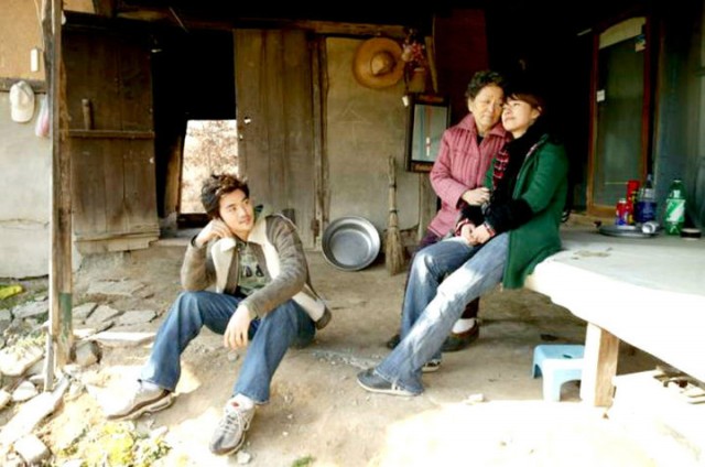 Three Leaf Clover Fotoğrafı