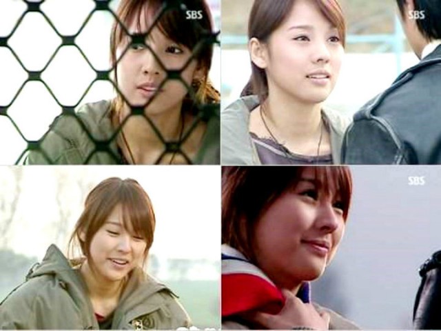 Three Leaf Clover Fotoğrafı