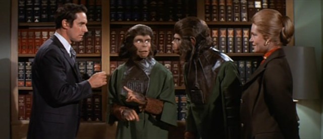 Maymunlar Cehenneminden Kaçış Fotoğrafı