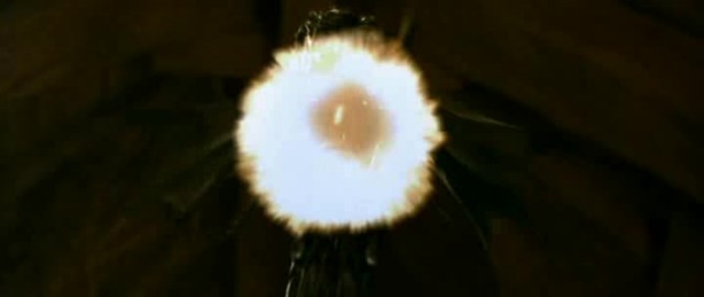 Çılgın Konuklar Fotoğrafı