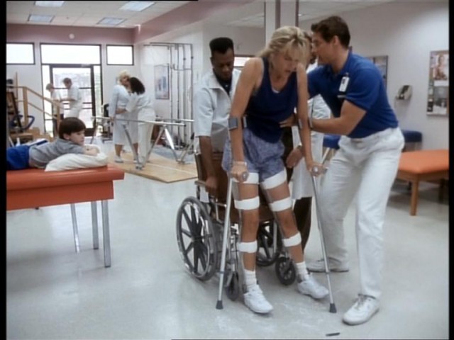 Palomino fotoğrafı