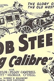 Big Calibre (1935) afişi