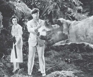 The Son Of Kong fotoğrafı