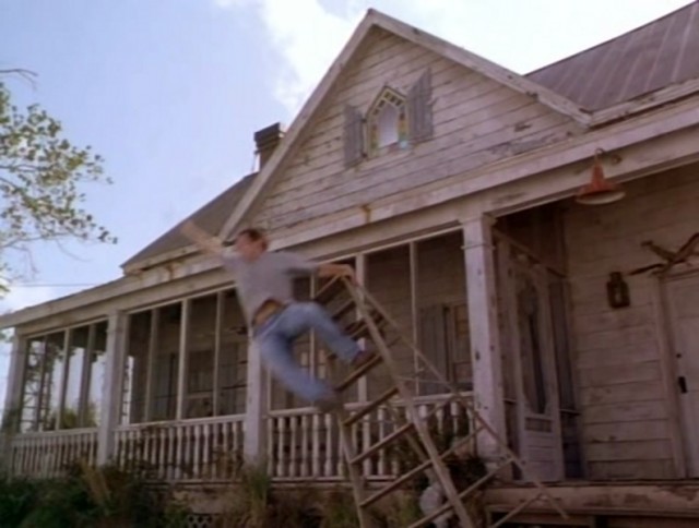 Kuşlar 2 fotoğrafı