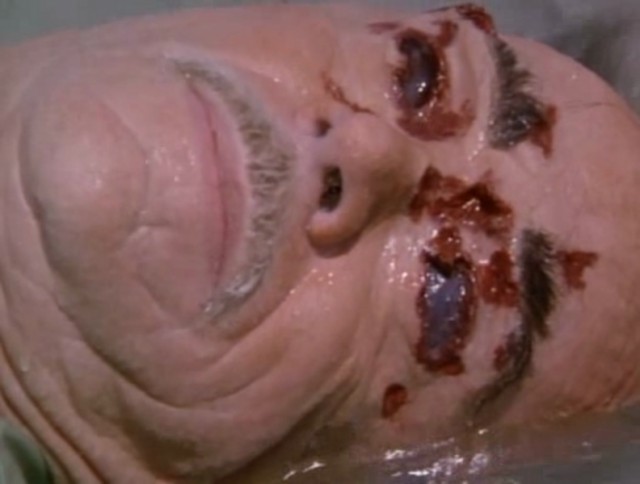 Kuşlar 2 fotoğrafı