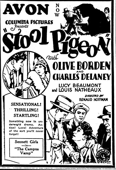 Stool Pigeon (1928) afişi