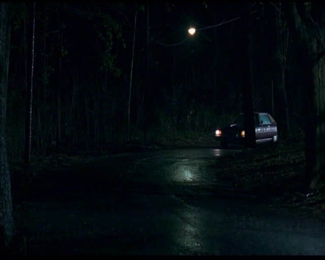 Buz Fırtınası Fotoğrafı