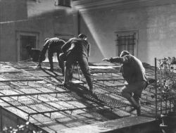 The Big Deal On Madonna Street Fotoğrafı