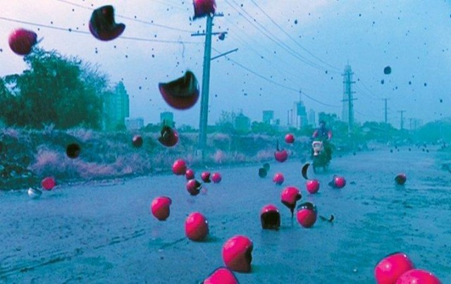 Citizen Dog Fotoğrafı