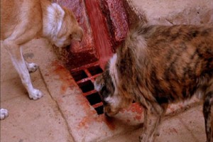 Günaha Son Çağrı Fotoğrafı