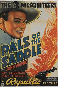 Pals Of The Saddle (1938) afişi