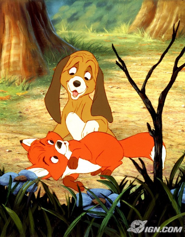 Tilki Ve Avcı Köpeği fotoğrafı