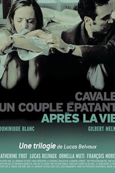 After The Life (2002) afişi