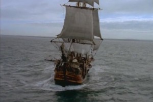 Beyaz Balina Fotoğrafı