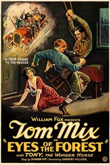 Eyes Of The Forest (1923) afişi