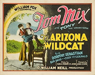 The Arizona Wildcat