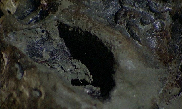 A Girl For Satan Fotoğrafı