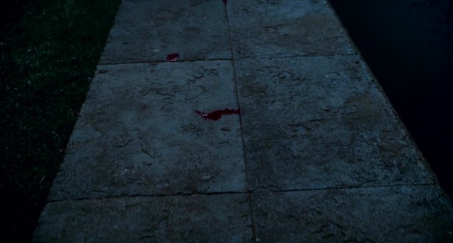 Kurt Adam Fotoğrafı