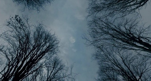 Kurt Adam Fotoğrafı