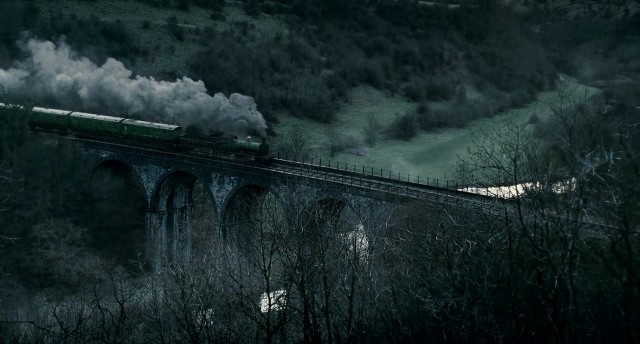 Kurt Adam Fotoğrafı