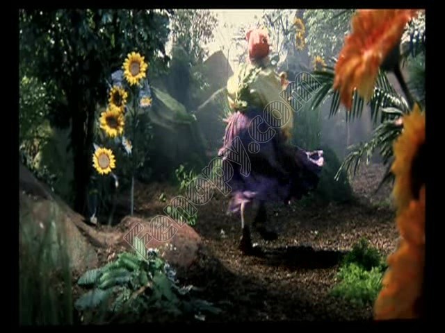 De Kabouterschat Fotoğrafı