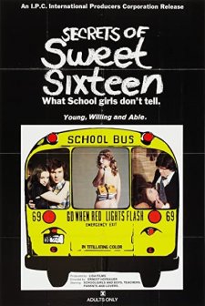 Secrets Of Sweet Sixteen (1973) afişi