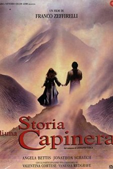 Serçe (1993) afişi