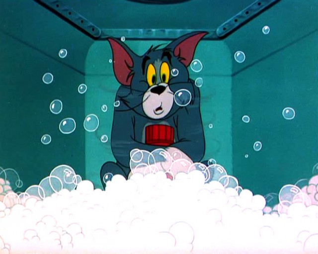 Slicked-up Pup Fotoğrafı