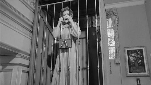 Lady In A Cage Fotoğrafı