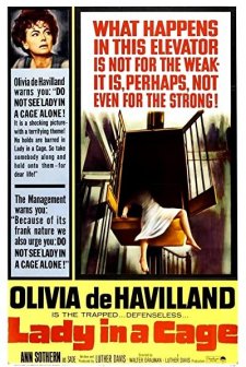 Lady In A Cage (1964) afişi