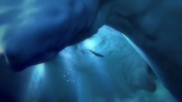 Ocean Odyssey Fotoğrafı