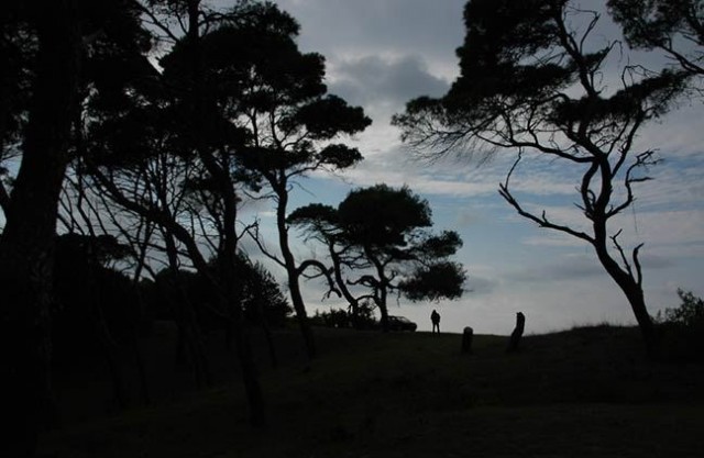 Şüphe (2010) Fotoğrafı