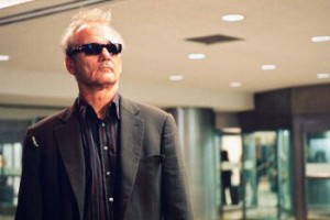 Kırık Çiçekler Fotoğrafı